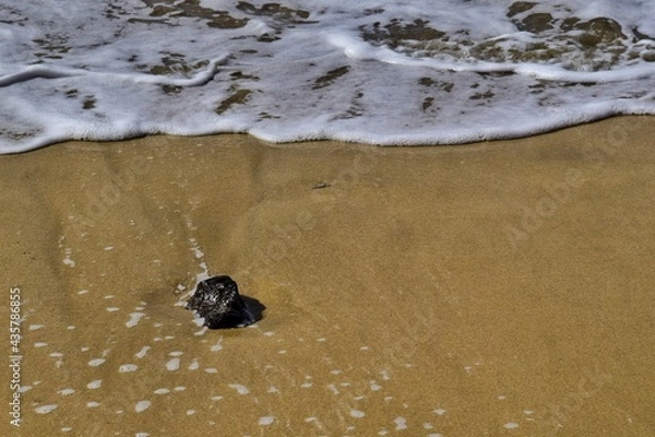 Obraz Stein im Wasser am Strand