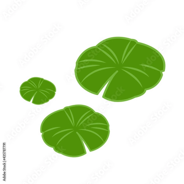 Obraz Lily pad pattern vector. wallpaper. free space for text. background.