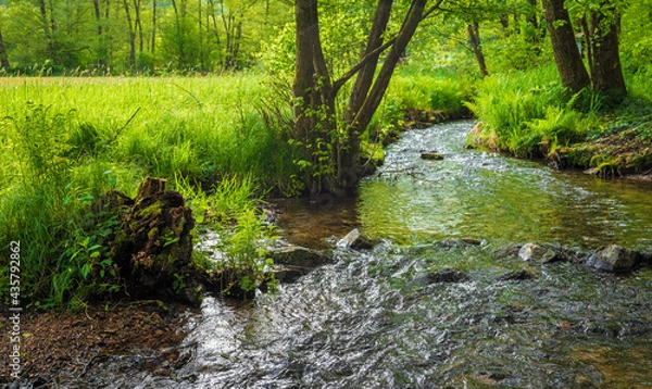 Obraz Die Orb in Bad Orb