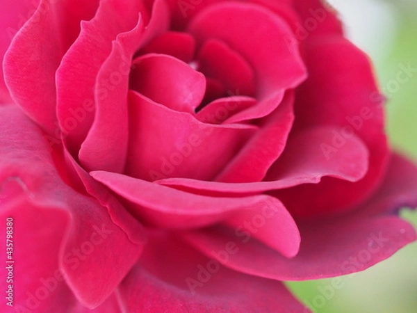 Obraz OLYMPUS DIGITAL CAMERA