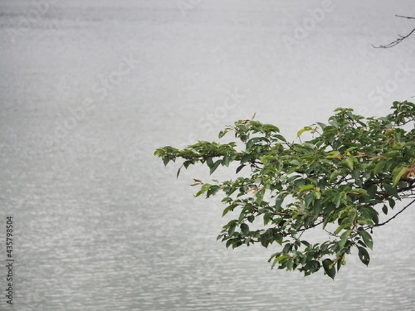 Obraz OLYMPUS DIGITAL CAMERA