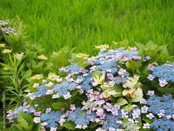 Obraz OLYMPUS DIGITAL CAMERA