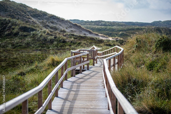 Obraz The Way to the beach