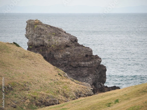 Obraz 海を望むゴリラ岩