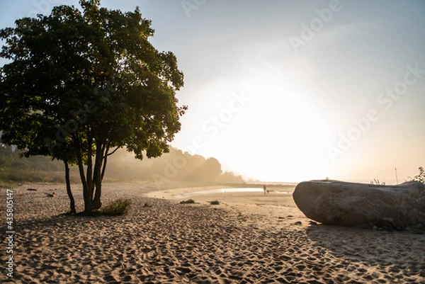 Obraz Sonnenaufgang am Wedeler Elbstrand (bei Hamburg)