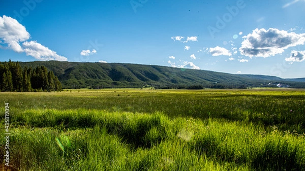 Obraz Yellowstone (late Summer)