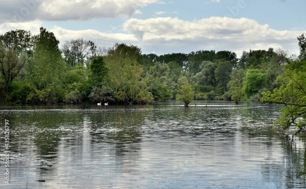 Obraz Naturschutzgebiet Taubergießen unter Wolken