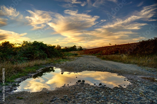 Obraz Summer sunset with clouds reflecting in puddle.