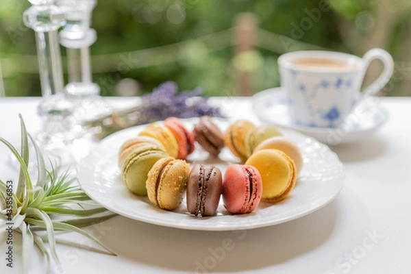 Obraz 白いお皿に盛り付けられたカラフルなマカロン
