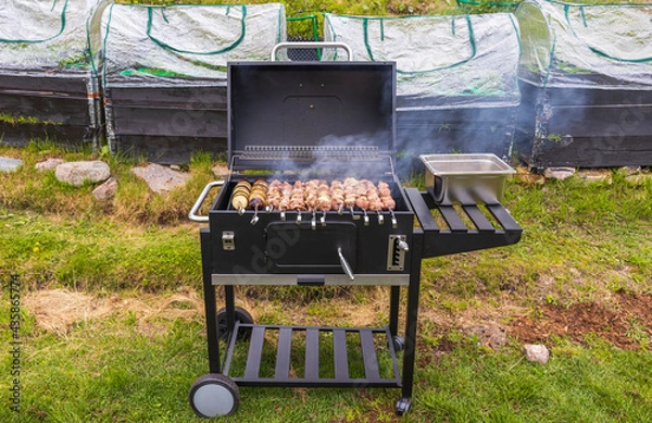 Fototapeta View of barbecue on grill on backyard of private house. Sweden.
