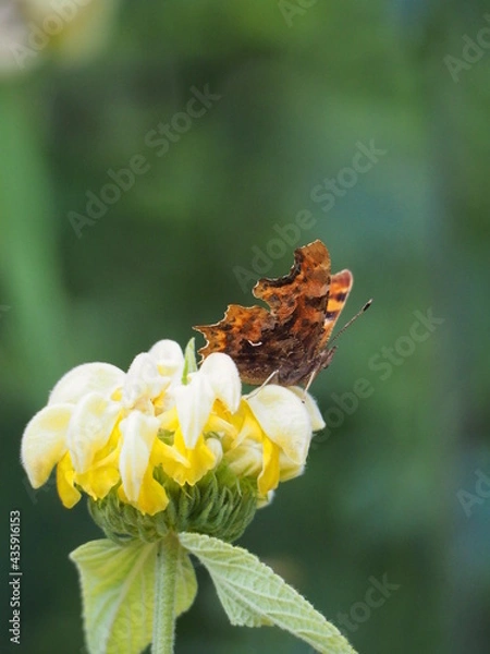 Obraz OLYMPUS DIGITAL CAMERA