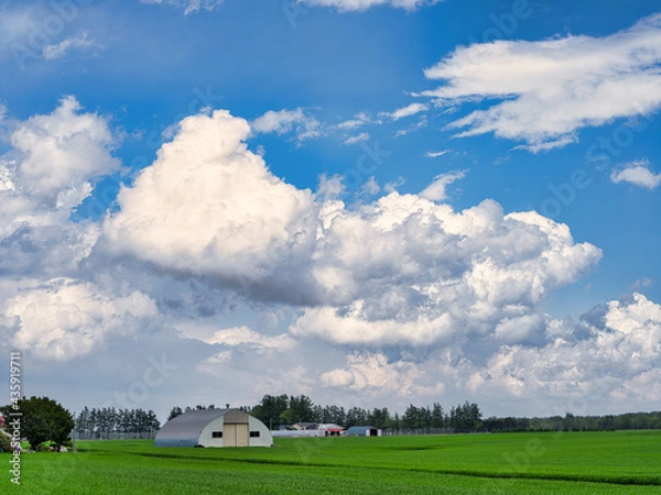 Fototapeta 青空と雲