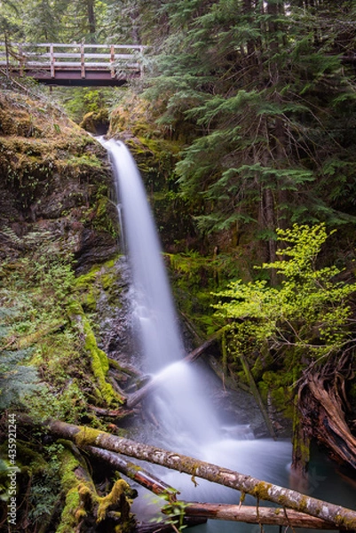 Fototapeta Random Waterfall with Bridge