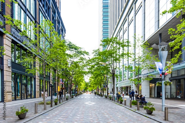 Obraz (東京都ｰ都市風景)春の丸の内並木通り風景１