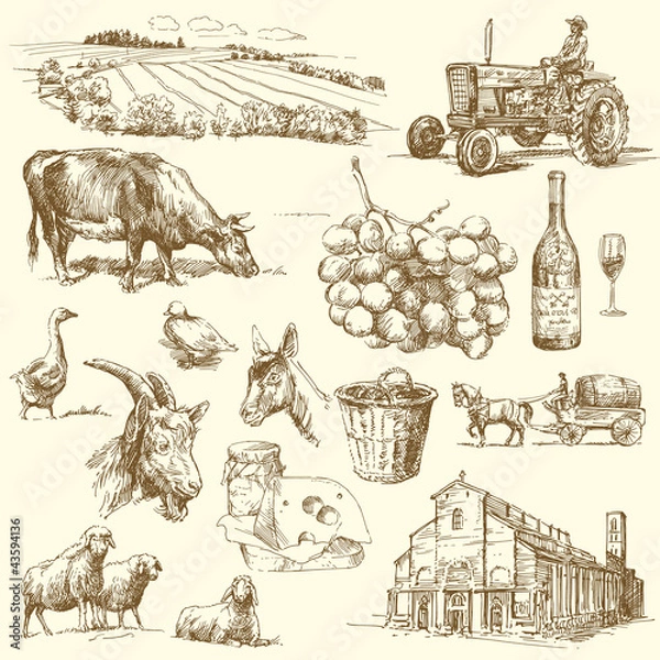 Obraz Kolekcja gospodarstw