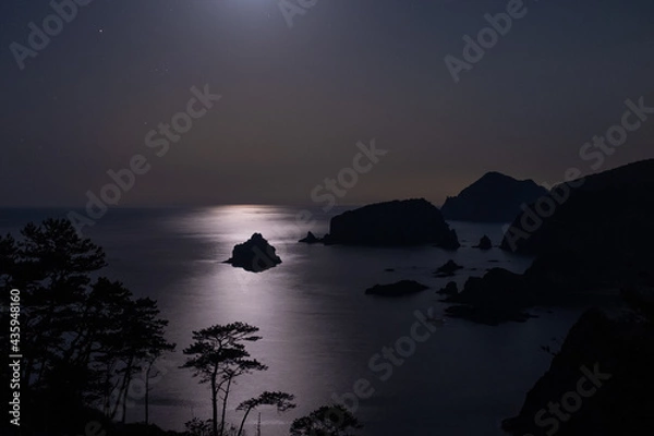 Obraz 月光に輝く海