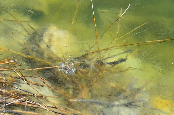 Obraz тонкий лед