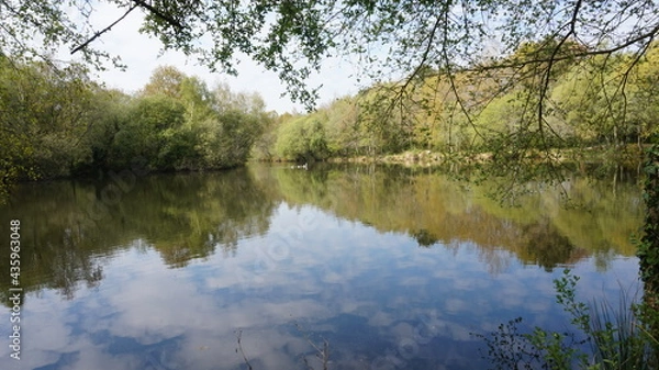 Obraz reflection in the water