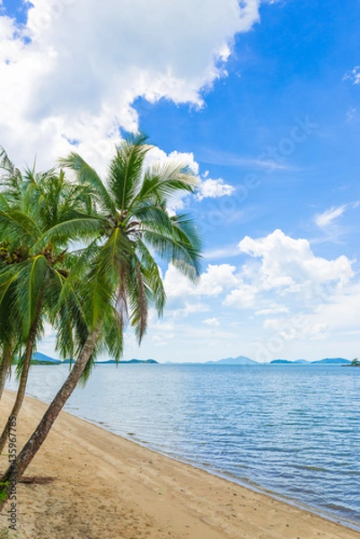 Fototapeta Coconut trees on the beach