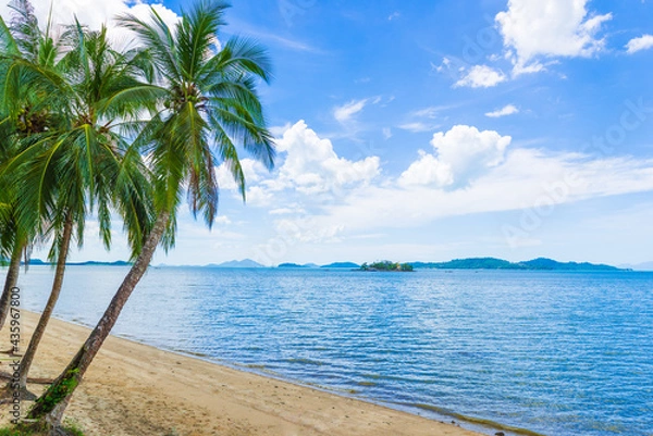 Fototapeta Coconut trees on the beach
