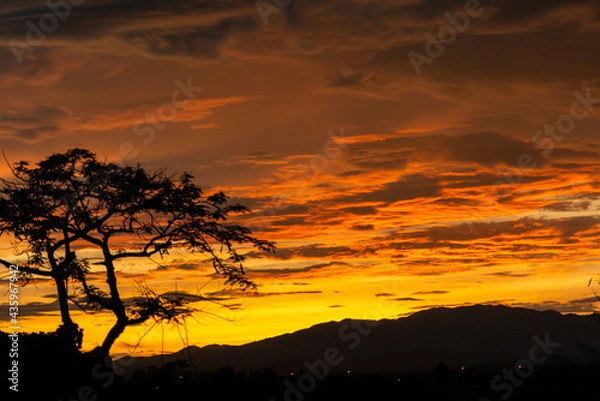 Fototapeta Sunset behind a mountain with a tree