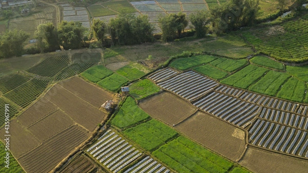 Fototapeta Top view aerial photo from flying drone of landscape with farmland Chiang Mai, Thailand