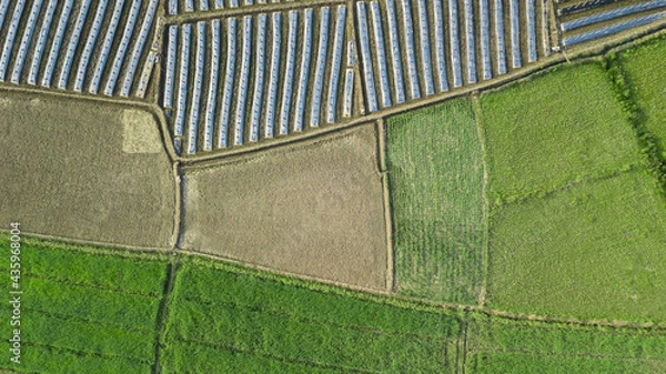Fototapeta Top view aerial photo from flying drone of landscape with farmland Chiang Mai, Thailand