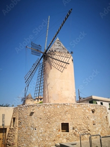 Fototapeta windmill