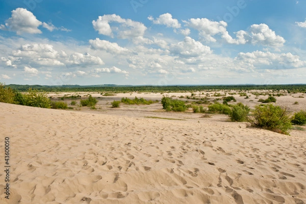 Fototapeta Pustynia Błędowska