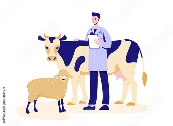 Fototapeta Veterinarian with a cow and sheep. Health check. Preparing for vaccination. Vector illustration in flat cartoon style. Isolated on a white background.