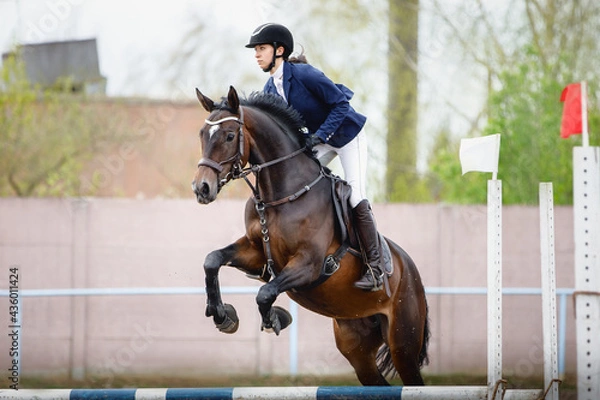 Obraz portrait of mare horse and beautiful woman rider jumping during equestrian show jumping competition in daytime in spring