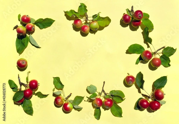 Fototapeta Ripe red decorative apples and leaves on yellow background with space for text. Top view, flat lay