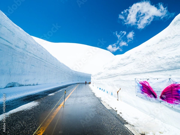 Obraz 【富山】雪の大谷ウォーク 青空