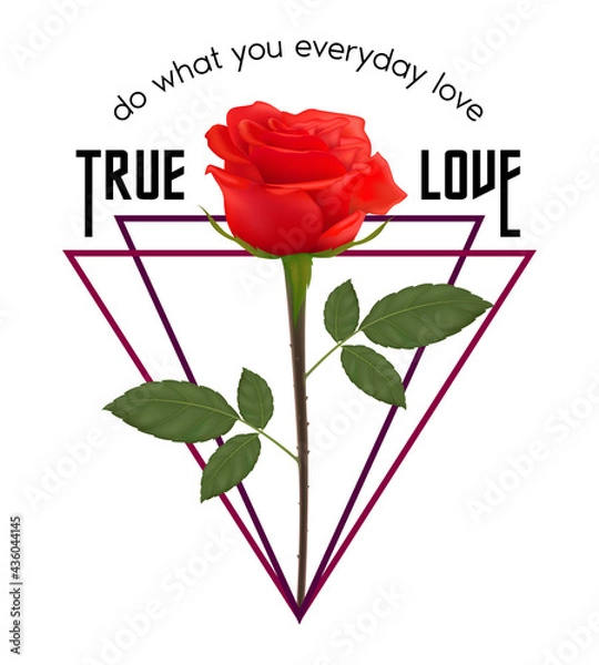 Fototapeta Geometric silver and rose shape with on white background. Design for t-shirt screen printing. Vector Illustration