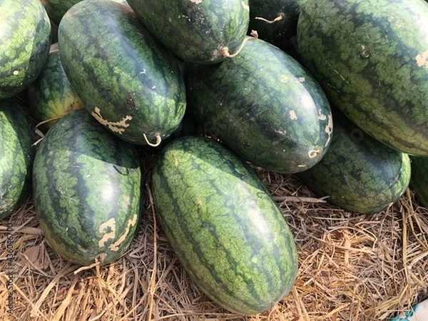 Fototapeta Pile of Torpedo watermelon after harvest .It easy to find in any open air market or at any fruit cart on the street in Thailand.Torpedo is large oval shape, crisp flesh and fewer seeds
