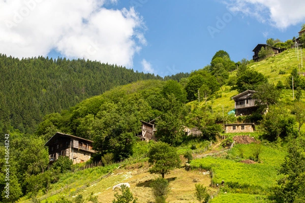 Fototapeta Unique mountain view in turkey with residential areas on it, perfect panoramic view filled with trees.