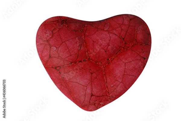 Obraz Realistic Heart