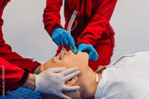 Fototapeta Side view of two paramedics in red uniforms on training for endotracheal intubation using medical dummy. Close - up