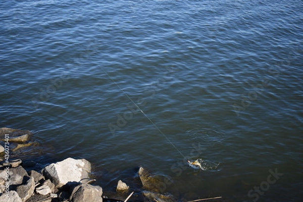 Obraz Reeling in Fish