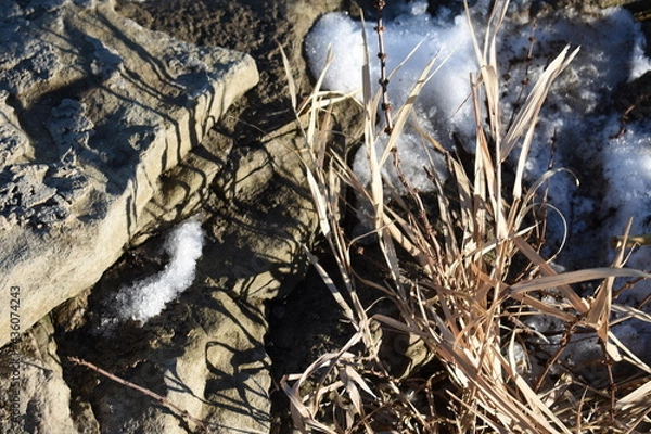 Obraz Rocks and Weeds 