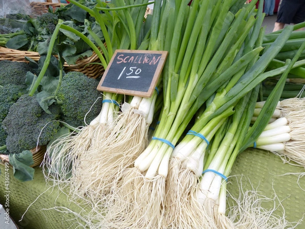 Fototapeta Scallions