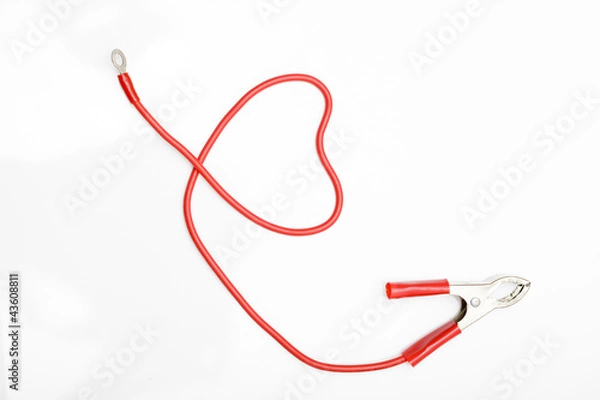 Obraz Jumper cable