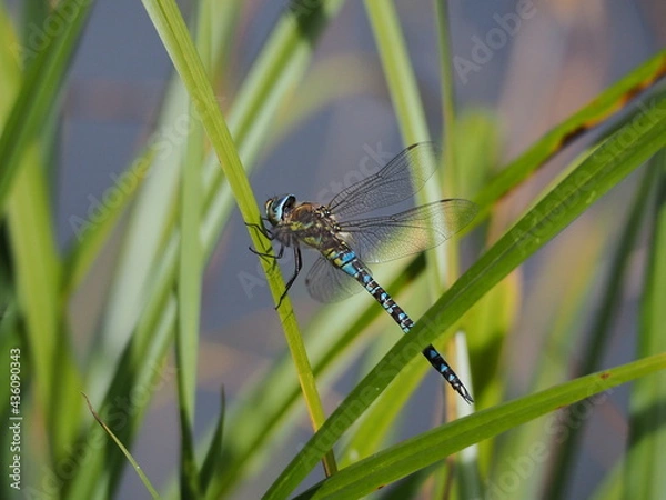 Obraz OLYMPUS DIGITAL CAMERA