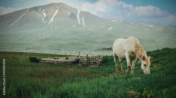 Obraz White Horse... Boat... Lake... Mountain...