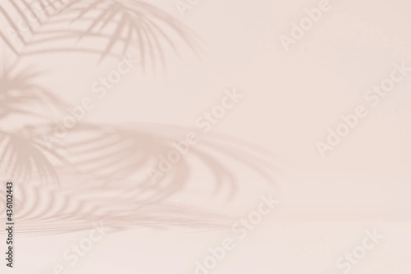 Fototapeta Summer vacations beige background with tropical leaves shadows, minimal 3d illustration render