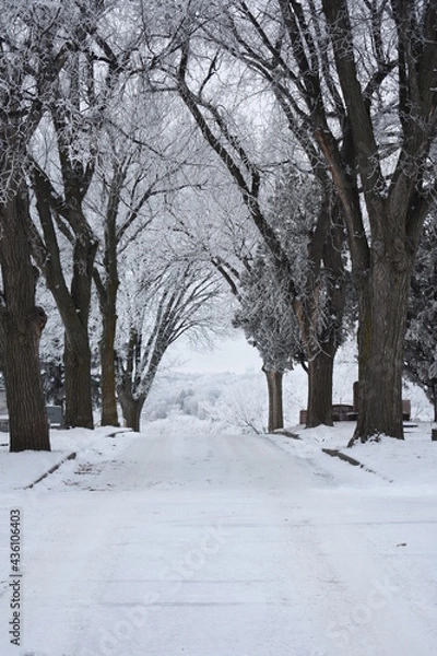 Fototapeta Snowy Overlook