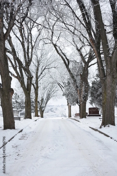 Obraz Snowy Overlook