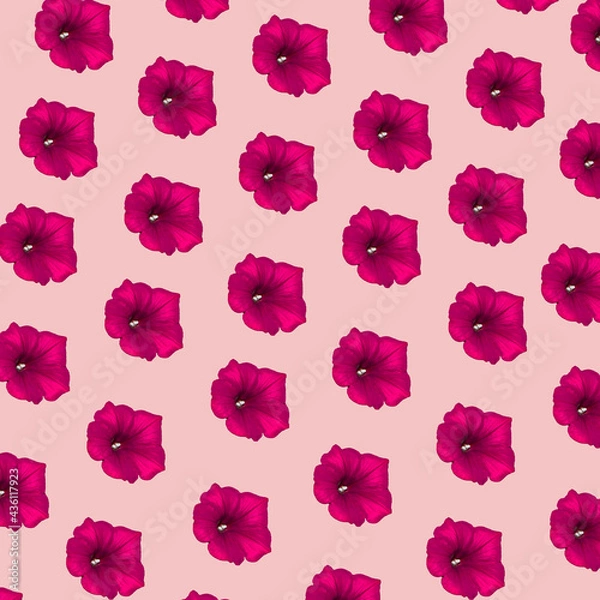 Fototapeta Surfinia flower multiplied on soft pastel pink background. Minimal abstract seasons concept. 