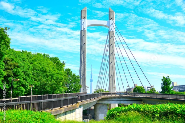 Obraz 木場公園/木場公園大橋・Kiba Park