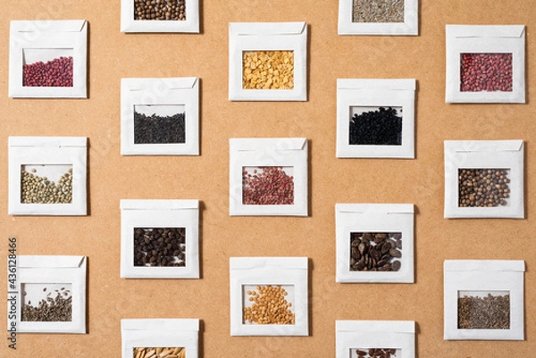 Fototapeta A bunch of colorful seeds of vegetables and spices in handcrafted packets made of recycled paper and arranged in symmetry on a raw surface 